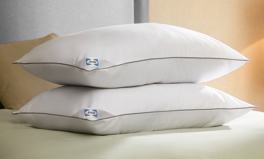 Image 1: Sealy Luxury Anti Allergy Pillows or Mattress Topper