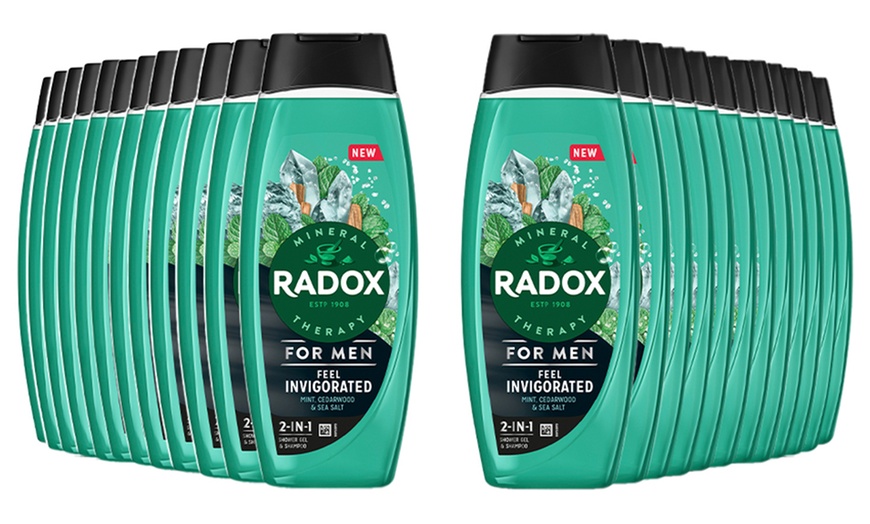 Image 6: Radox Mineral Therapy 2in1 Shower Gel and Shampoo 450ml