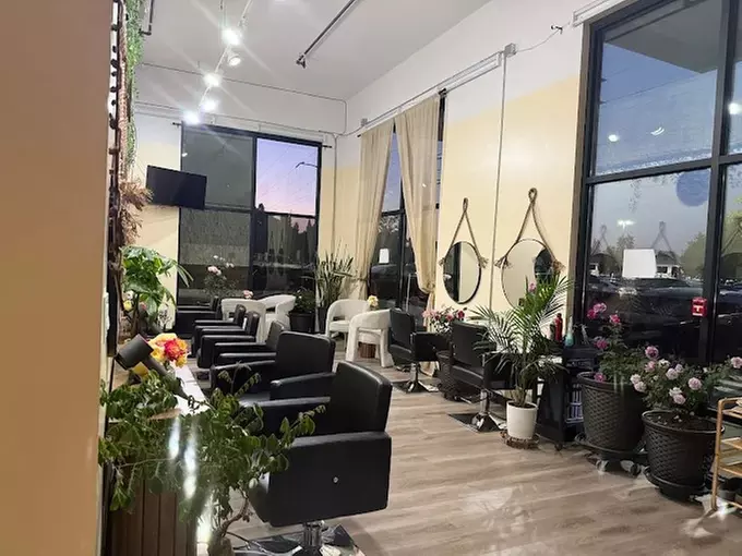 Luxury Head Spa Packages for One, Couples, or Groups of 4