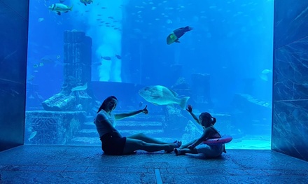 For a child: Lost World Aquarium at Aquaventure World Ticket - Pt Tourism