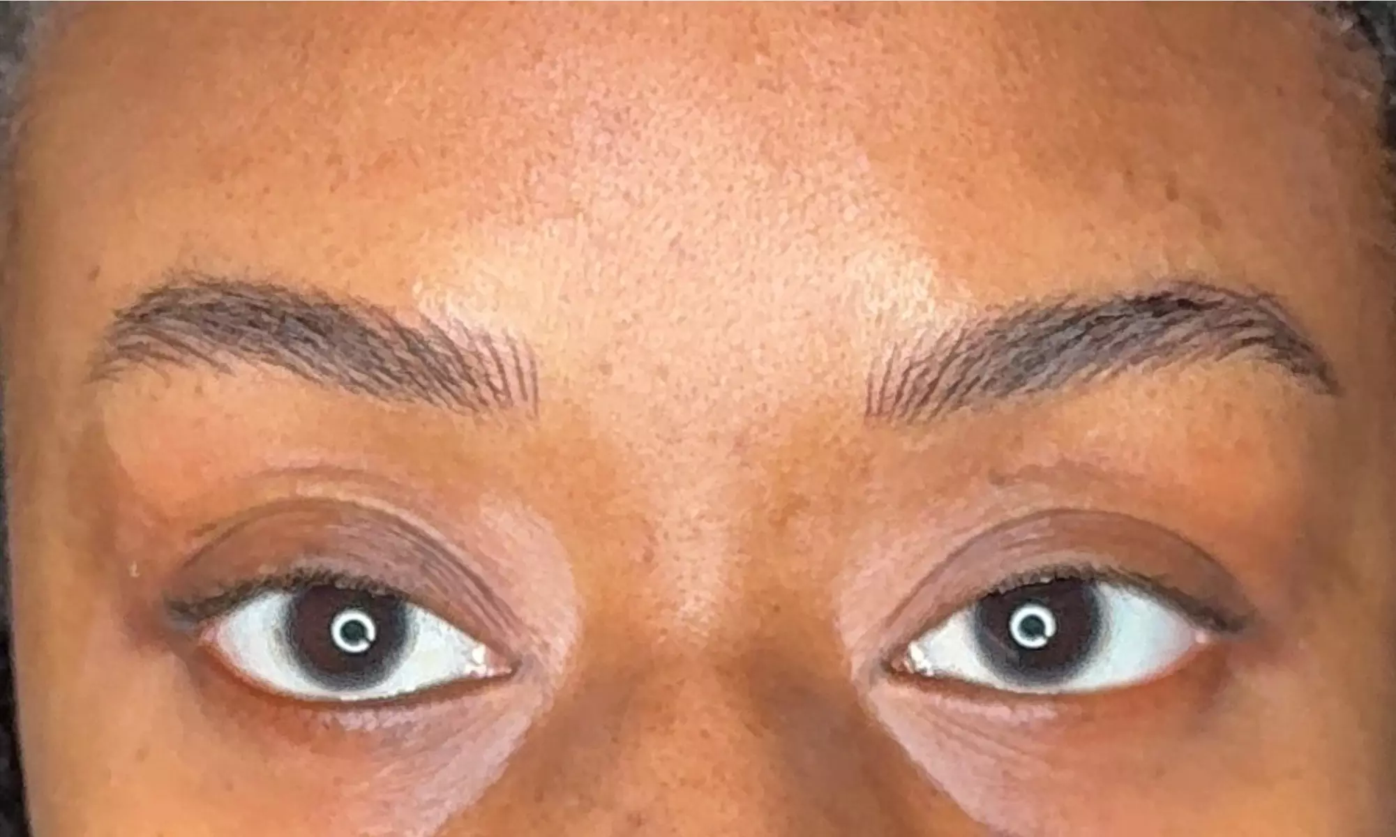 Nano Brows- Machine Hairstrokes / Powder/Ombre Brows / & More