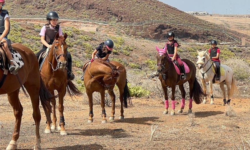 Image 5: ♞ Paseo a caballo para 2 personas con Horse Riding Canaria