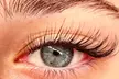 Get a Full Set of Classic Natural set, Volume/Wet Eyelash Extensions @The Lash Doctor Beauty Studio(Up to45%Off) - Second Medium