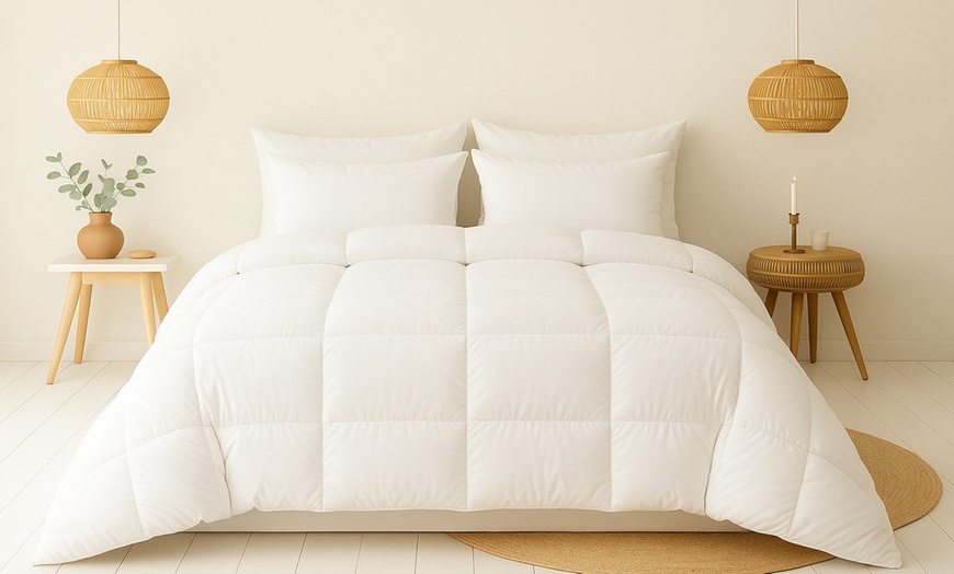 Image 1: Couette chaude duvet et plumes de canard, 350 g/m²  