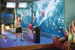 3 Hours of Unlimited Attractions: Laser Tag, Go-Karts, Mini Bowling, Mini Golf, Valo Climb, and Valo Jump - Second Medium