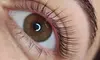 Elevate Your look with Lash Lift and Tint with Iryna at Estetika The House of Beauty ( Up to 44% Off )