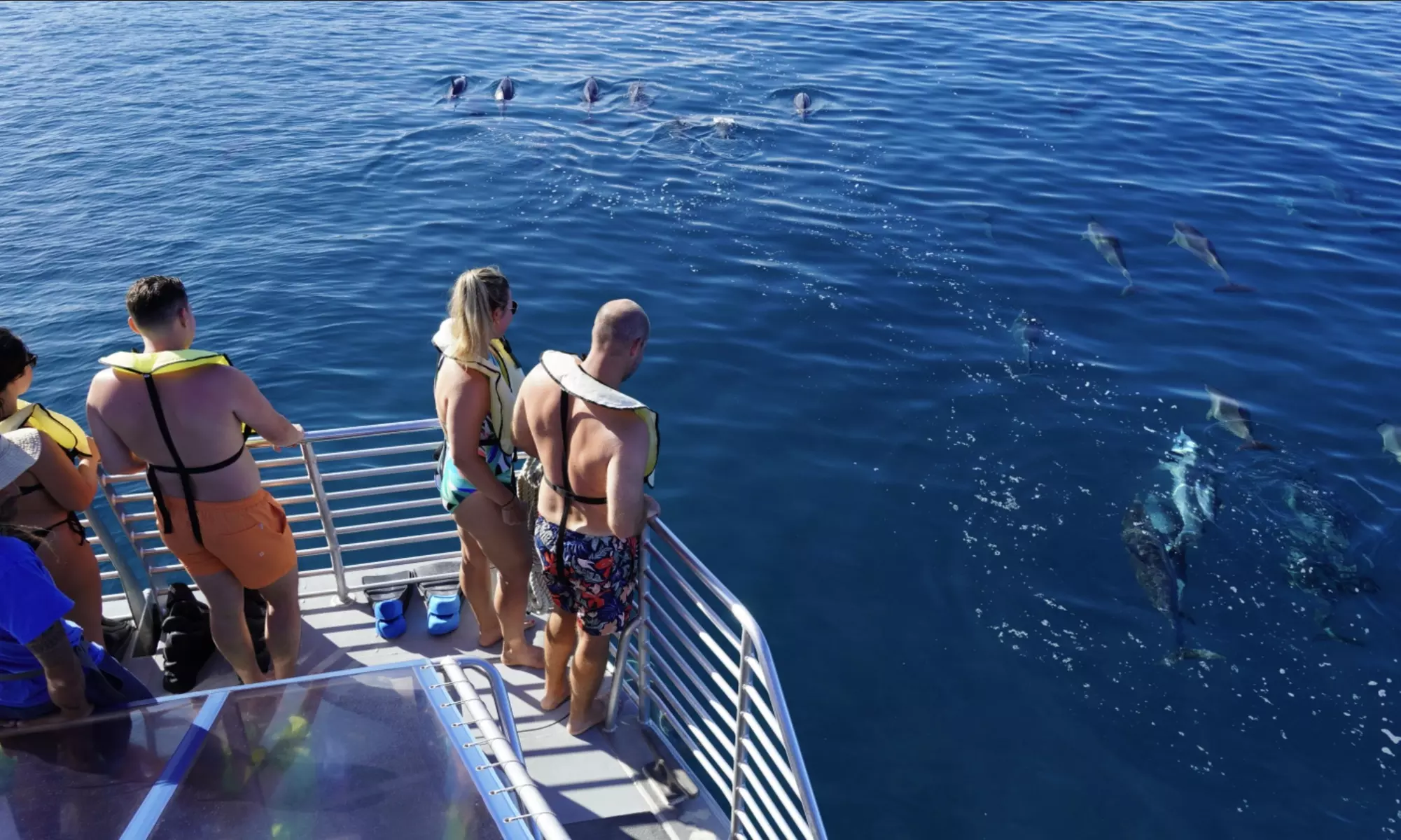 3-Hours Oahu Ocean Adventure w/ Dolphins, Turtles & Water Activities