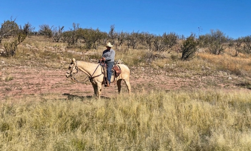 Image 3: Scenic Trail Rides at Double R Ranch – All Skill Levels Welcome