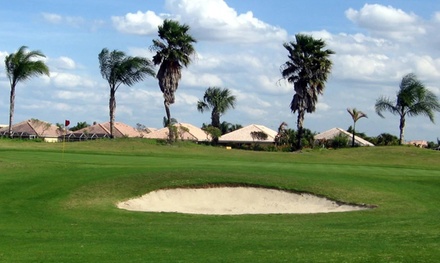 Personalized Golfing Lessons and Experience For 2 people (1 hour) - Conine Golf Academy