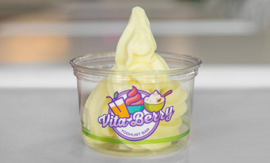 Image 6: Up to 30% Off on Frozen Yogurt (Bakery & Dessert Parlour) at Vitaberry