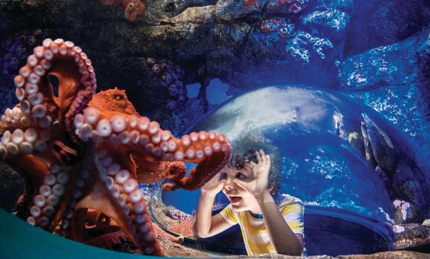 Image 7: Go City Essentials Pass – San Diego Attractions