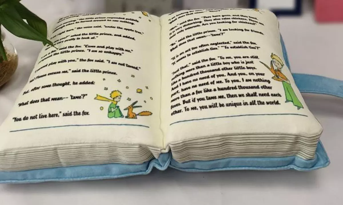 Cartoon Inspired Book Shaped Pillow Cushion