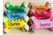 Custom Pet Toys from Justyling – Custom Frisbees or Bones Up To 75% Off - Second Medium