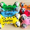 Image 2: One or Two Custom Pet Toys - Custom Frisbees or Bones Available!