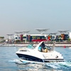 Image 4: Luxury Yacht Rental in Dubai's Arabian Gulf for Up To 8 People