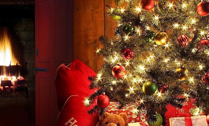 Image 17: XMAS25-2 Pack Christmas String Lights