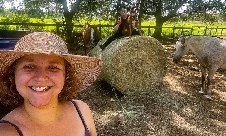 Image 6: Beginner Equine Care Class: Hands-On Learning for All Ages
