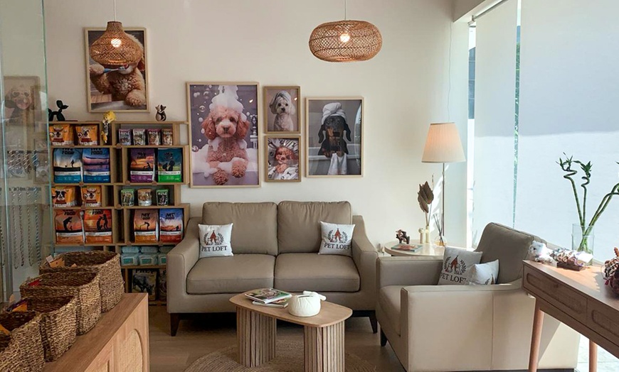 Image 5: Get Cat or Dog Bath & Blow (Wash, Blow-dry, Nail Trim ) + One Add On