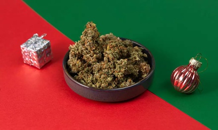 Cannabis Growology Training with certificate for One - The Weedology School