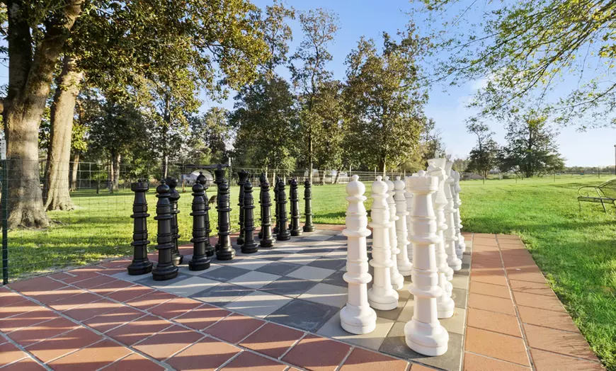 Games such as corn hole, horseshoes, and other lawn activities