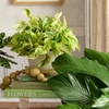 Image 3: Next Day Delivery Plants from 1-800-Flowers (up to 55% off)