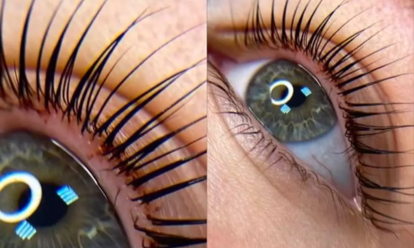 Lash Lift and Brow Tint