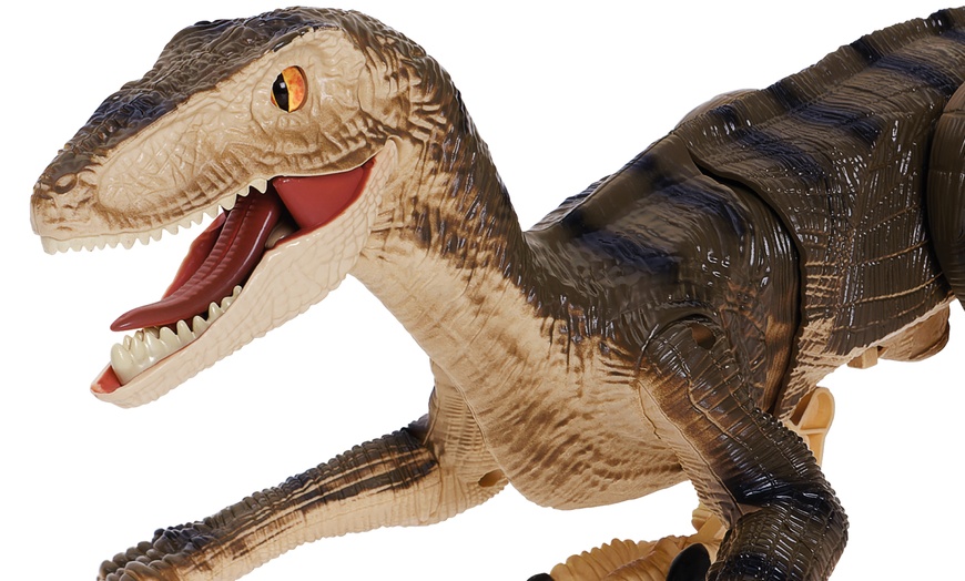 Up To 40% Off Remote Control Walking Raptor Dinosaur | Groupon