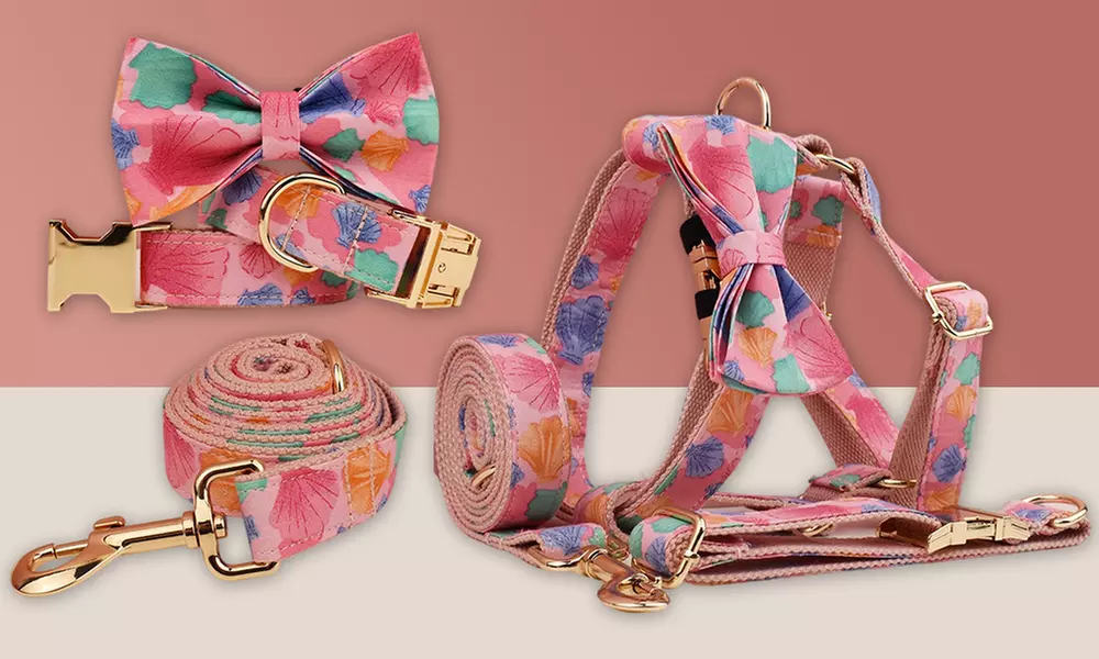 Grab paw-some Custom Pet Collars for your furry buddies