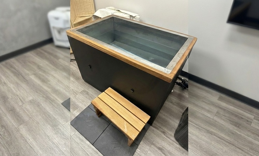 Image 3: Feel Revitalized with 1,3, or 5 Infrared Sauna & Cold Plunge Sessions