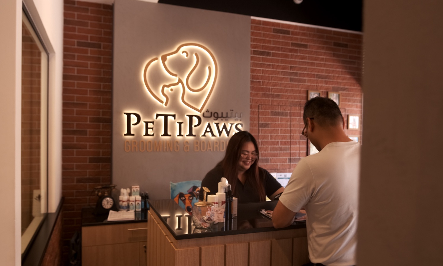 Small/Medium/Large Dog Basic or Dry Grooming for Cat