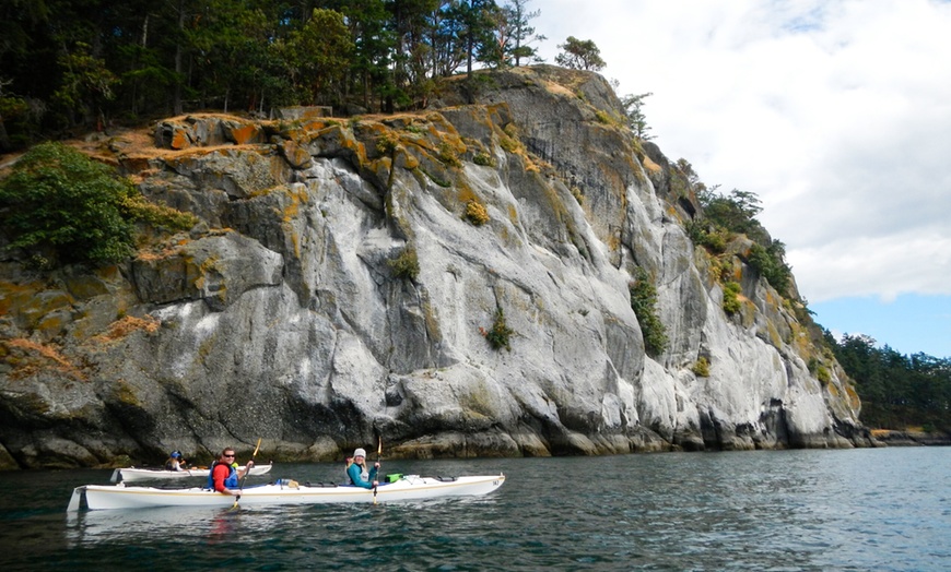 Image 6: Explore San Juan Island on a Half Day or Full Day Kayak Tour