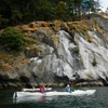 Image 6: Explore San Juan Island on a Half Day or Full Day Kayak Tour