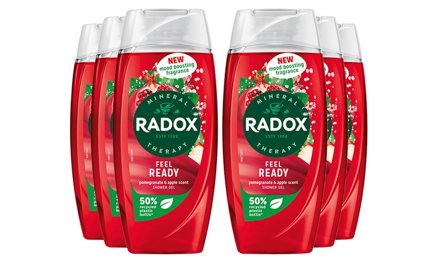 Image 27: Radox Mineral Therapy Shower Gel with Mood-Boosting Fragrance