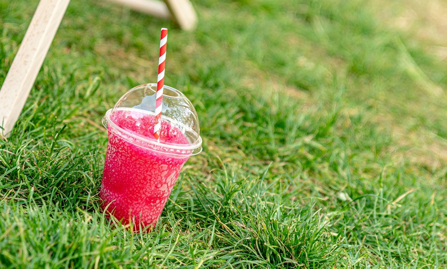 Image 7: Explore London with 1 or 2 Adult Tickets to Zoo Nights at London Zoo