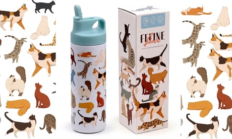 Groupon Unisex Puckator Feline Fine Cats Hot & Cold Flip Top Straw Drinks Bottle 500Ml