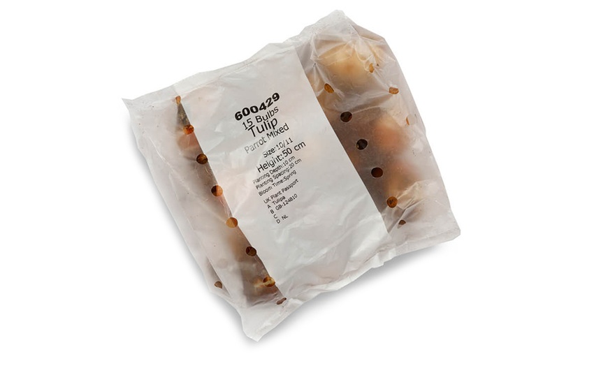 Image 4: 15 or 30 Tulip 'Parrot' Mixed Spring Flowering Bulbs