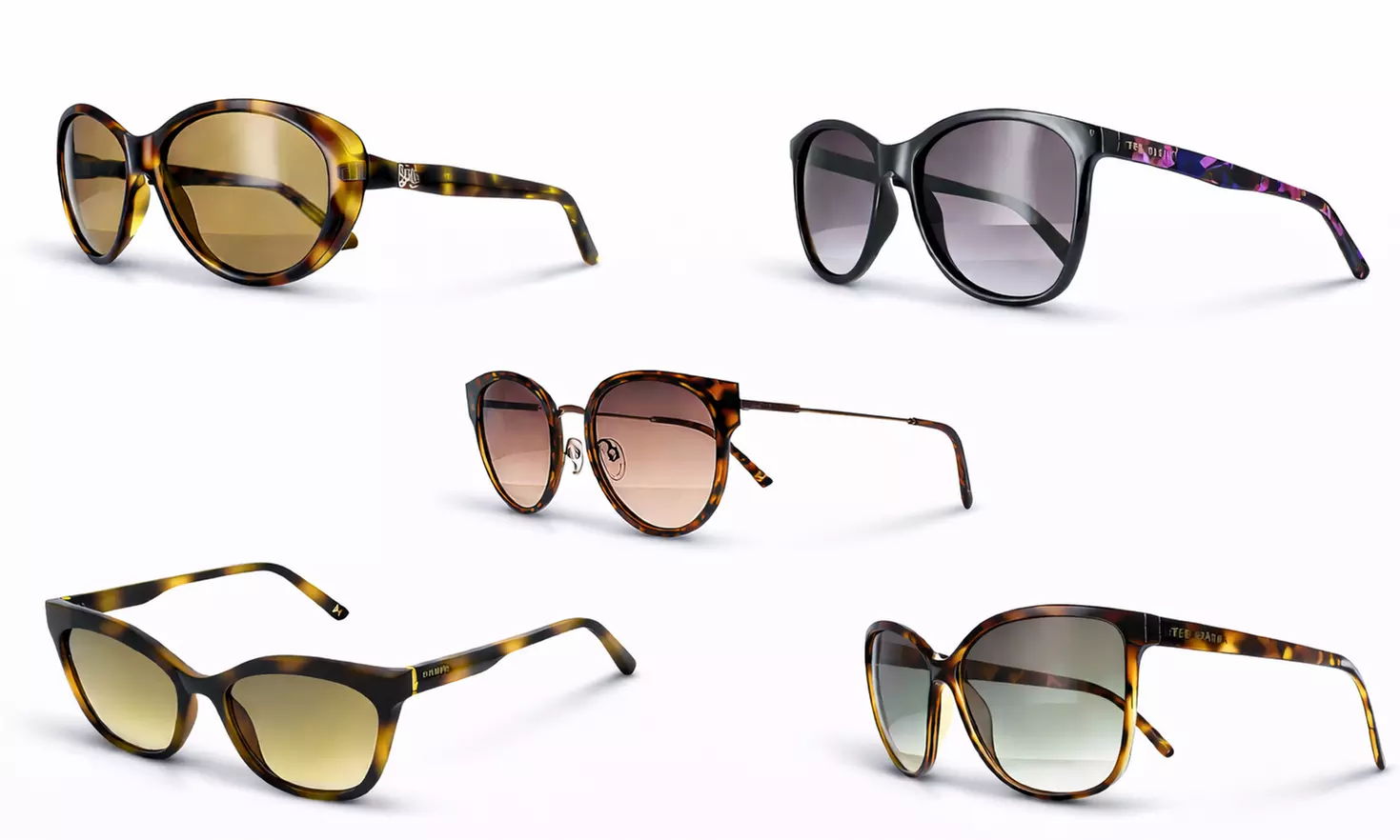 Ted Baker Classic Acetate Sunglasses Collection - Timeless Everyday Styles