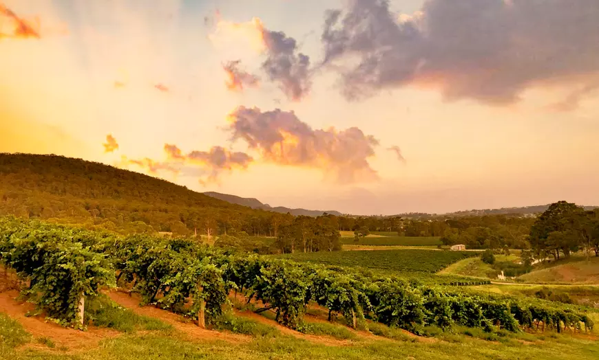 Image 4: Dive Into Flavours with Wine or Reserve Wine Tasting in Hunter Valley!