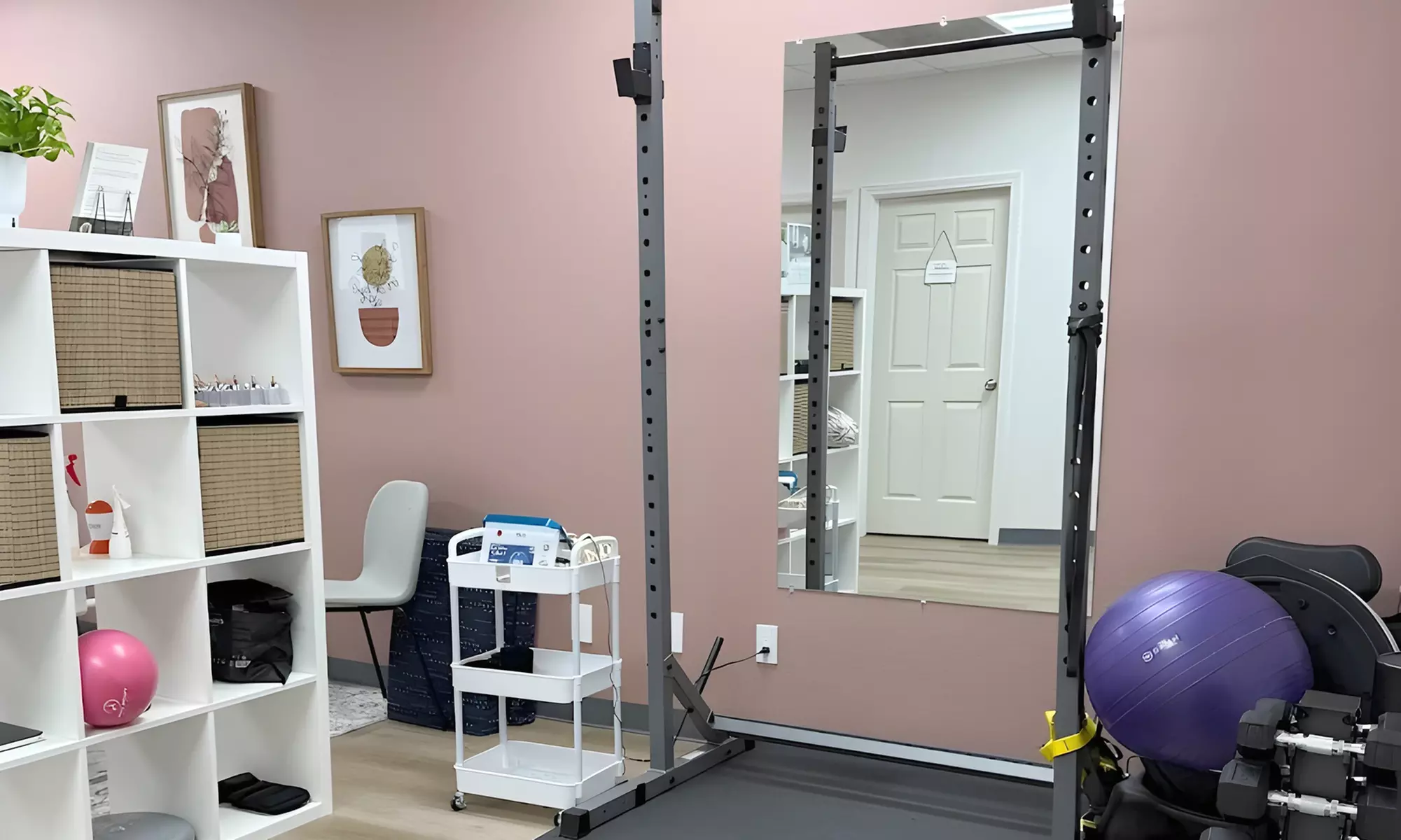 Prenatal, Pediatric, Adult, or Defeat Diastasis Exam for New Patients