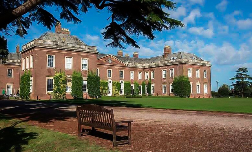 Image 2: Toast the Day—Tea with Pimms or Prosecco for 1–4
