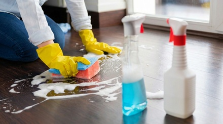 Standard Home Cleaning for Apartments and Houses (Up to 800 Sq Ft) - Miami House Cleaning