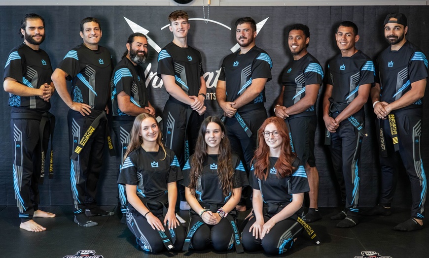 Image 1: Martial Arts Training: 1 or 2 Weeks of Skill-Building Classes
