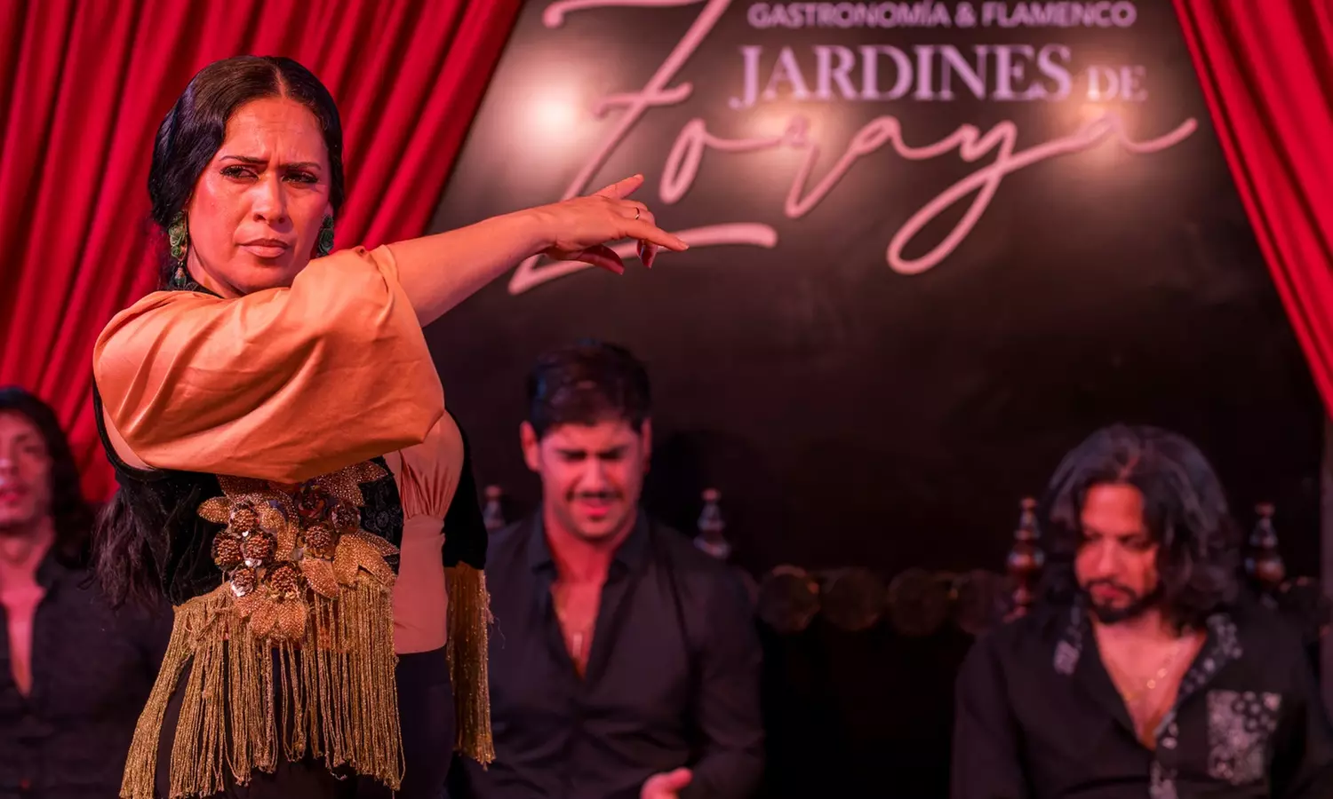 Espectáculo de flamenco con opción a picoteo y bebida para 2 o 4