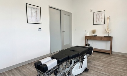 One Wellness Chiropractic Consultation and Adjustment - Karl's Chiropractic