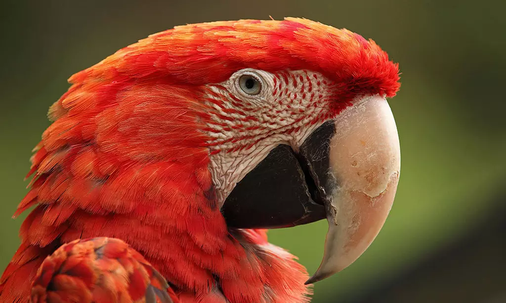 Tageskarte für den Tierpark Herborn für 1-2 Erwachsenen & 2 Kindern