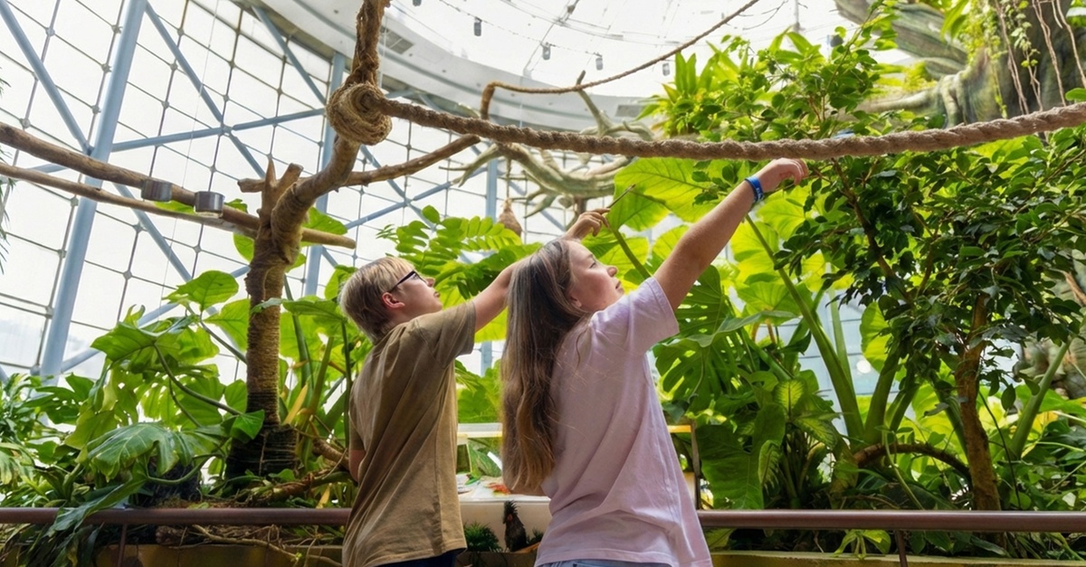The Green Planet Dubai Tickets – Indoor Rainforest Experience The Green Planet Dubai Tickets – Indoor Rainforest Experience