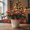 4" and 6" Christmas Cactus in Red and White with Free Shipping - Indoor and Outdoor Christmas Plants (Up to 10% Off)