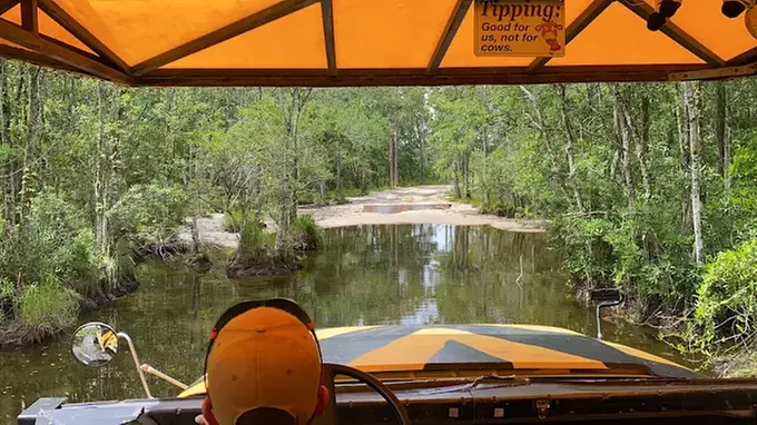 Set Out on Monster Truck Adventure Tour in Native Woodlands