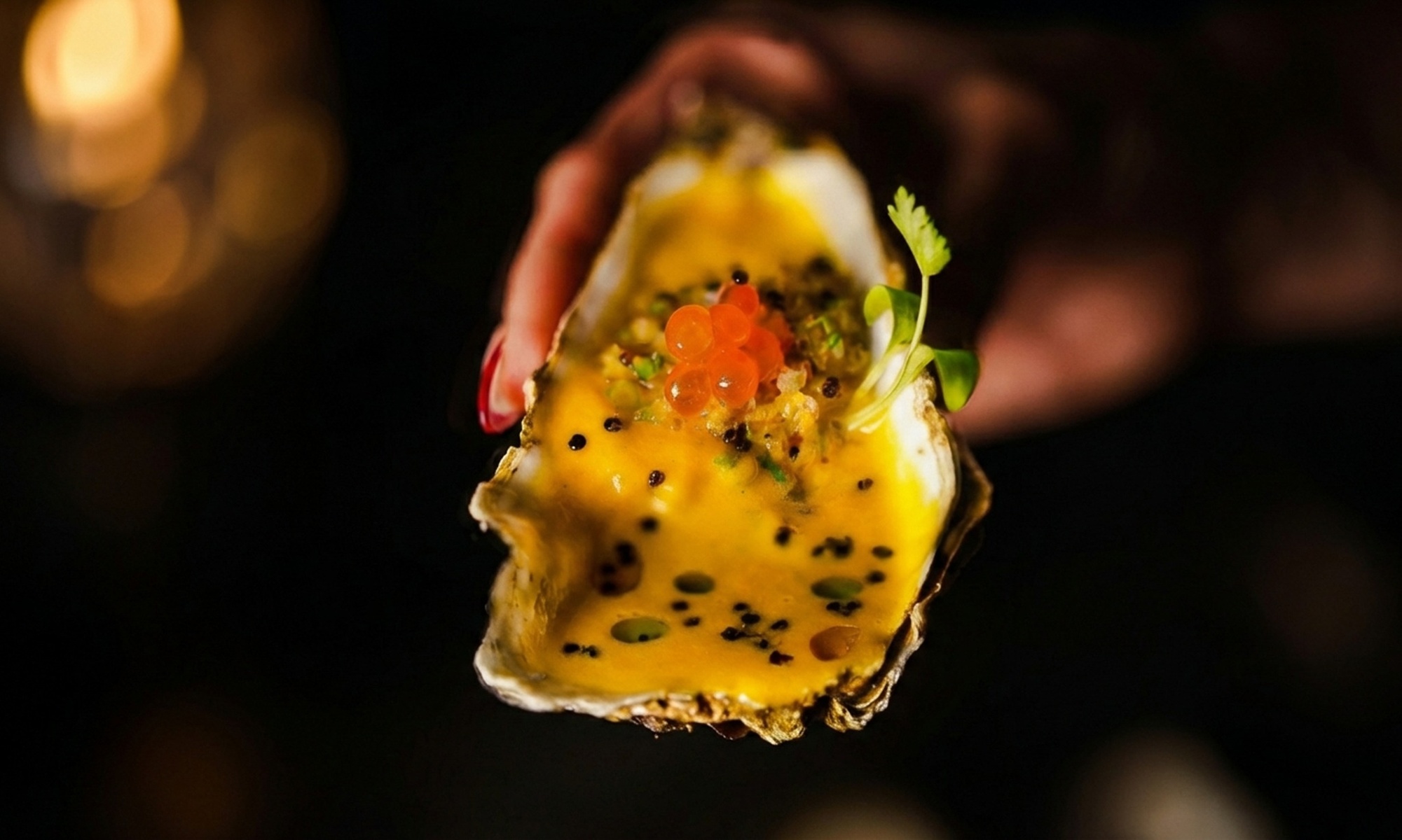 Menú omakase nikkei para 2 o 4 con cinco pasos y maridaje de sakes