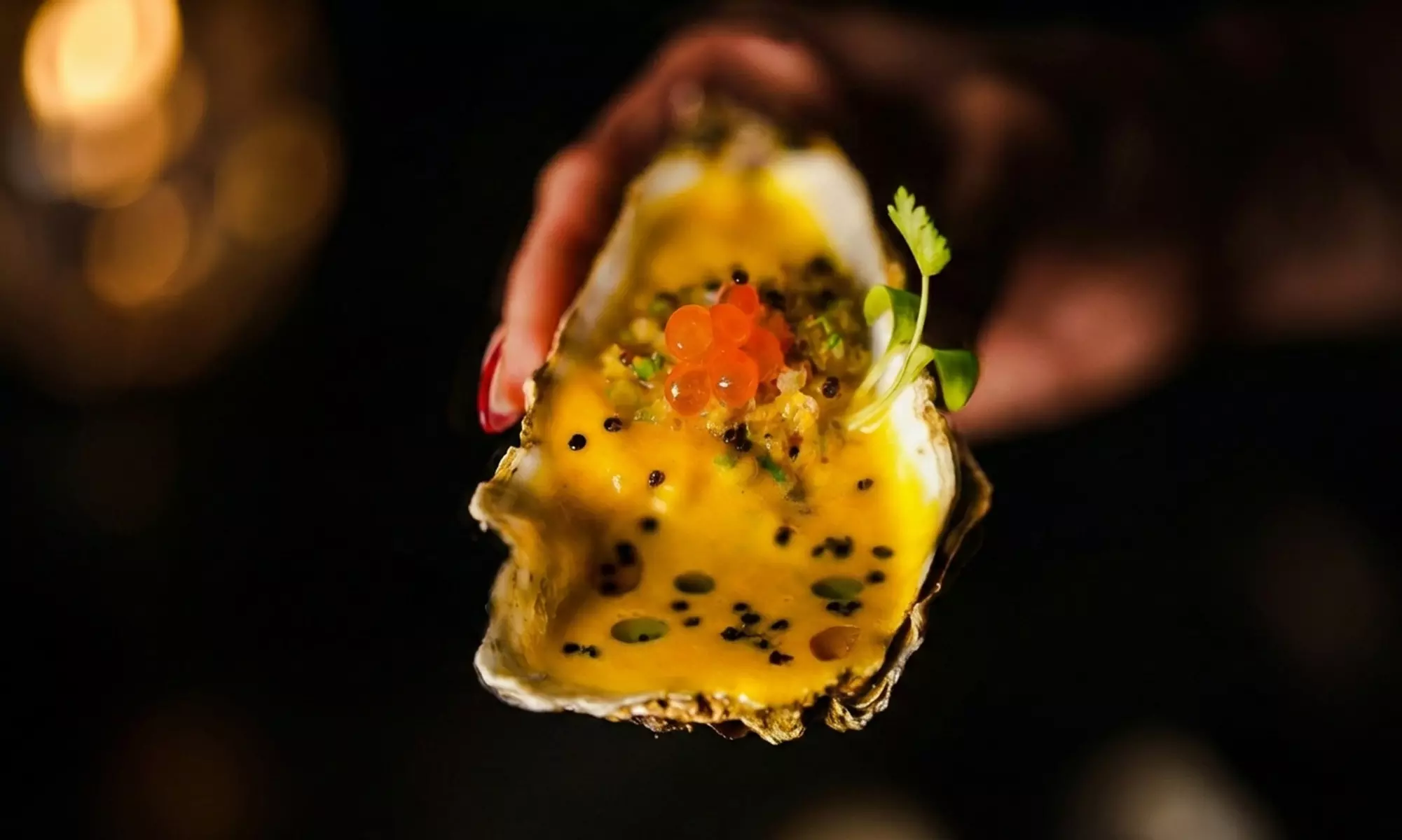 Menú omakase nikkei para 2 o 4 con cinco pasos y maridaje de sakes